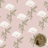Queen Anne’s Lace | Seamless pattern | Exclusive colourways