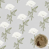 Queen Anne’s Lace | Seamless pattern | Exclusive colourways