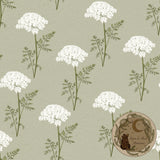 Queen Anne’s Lace | Seamless pattern | Exclusive colourways