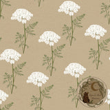 Queen Anne’s Lace | Seamless pattern | Exclusive colourways