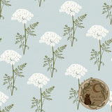 Queen Anne’s Lace | Seamless pattern | Exclusive colourways