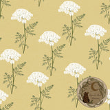 Queen Anne’s Lace | Seamless pattern | Exclusive colourways